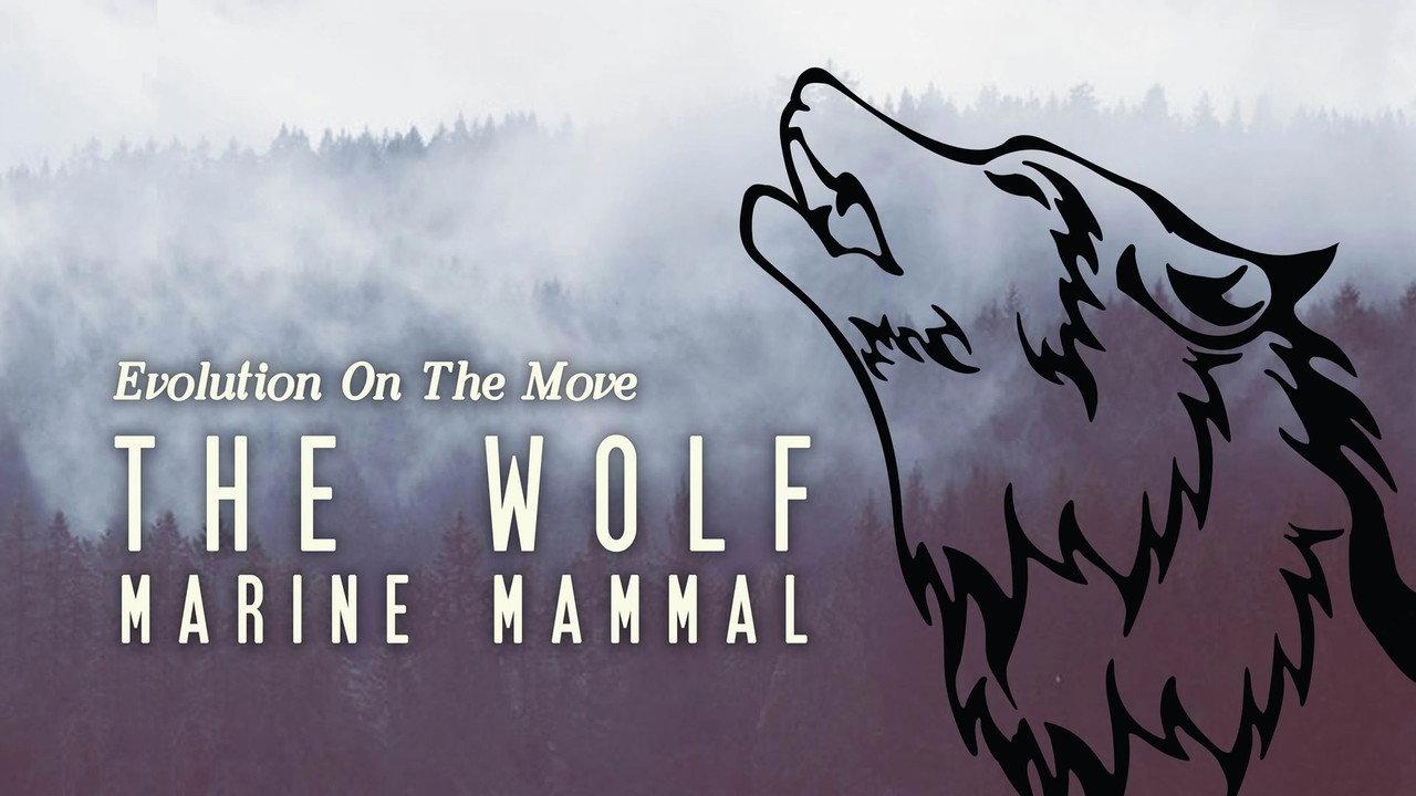 The Wolf: Marine Mammal backdrop
