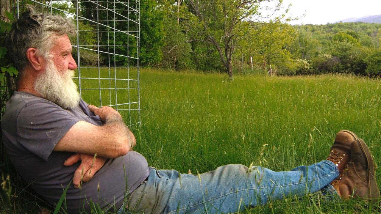 Peter and the Farm backdrop