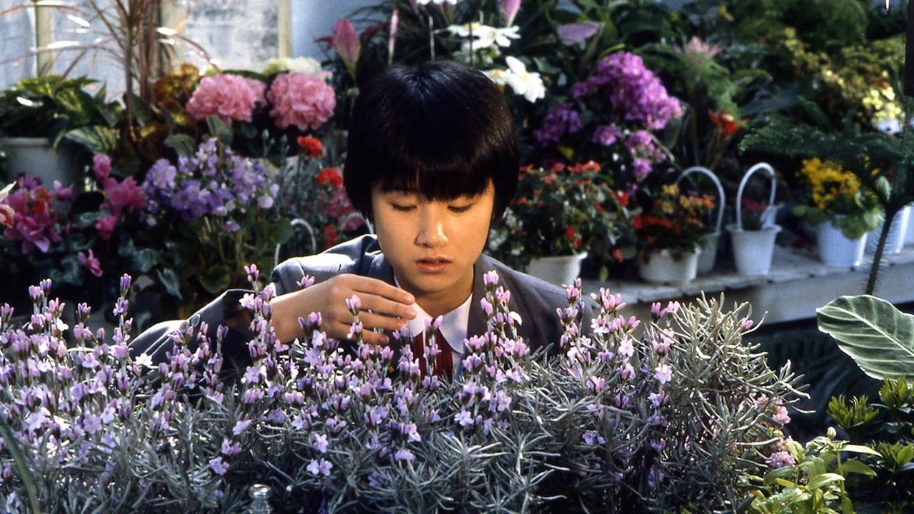 The Girl Who Leapt Through Time backdrop