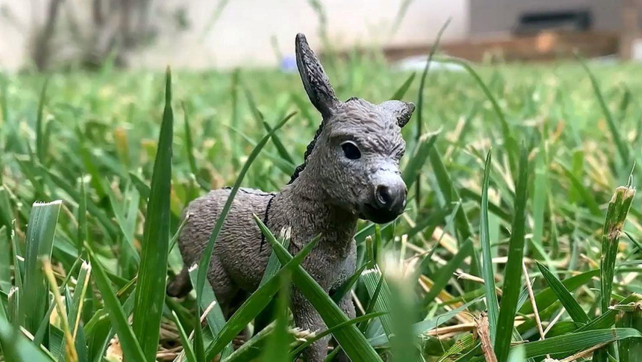 The Conversations of Donkey and Rabbit backdrop