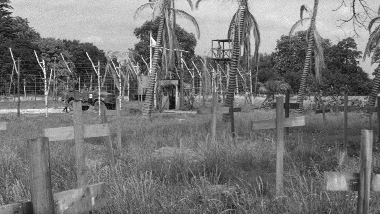 The Camp on Blood Island backdrop