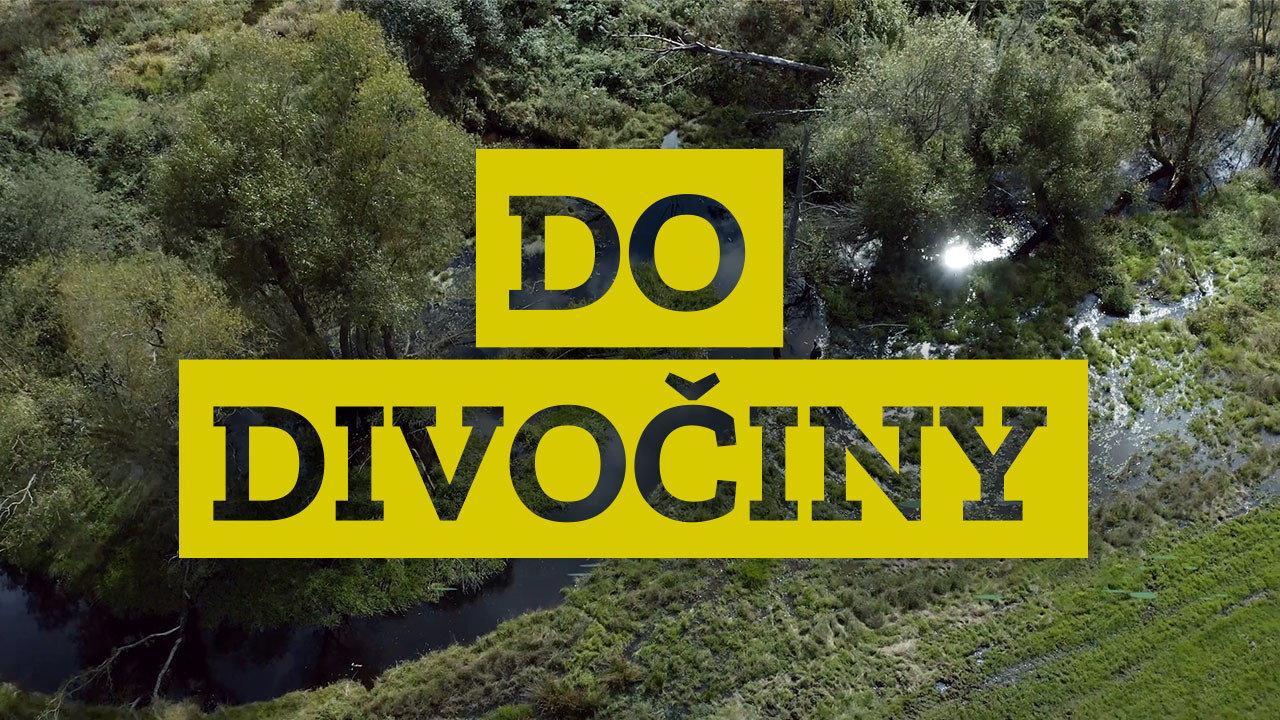 Do divočiny! backdrop