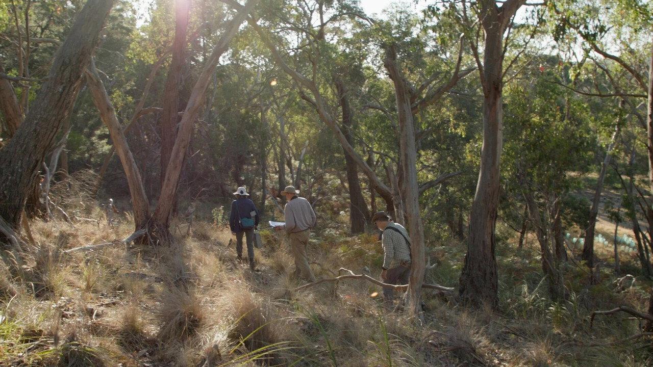 Saving Spring Creek Valley backdrop