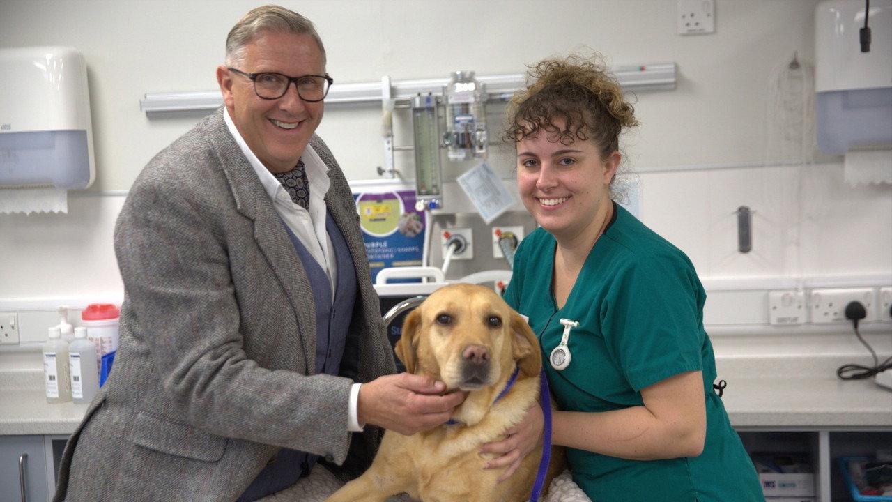 The Dog Hospital with Graeme Hall backdrop