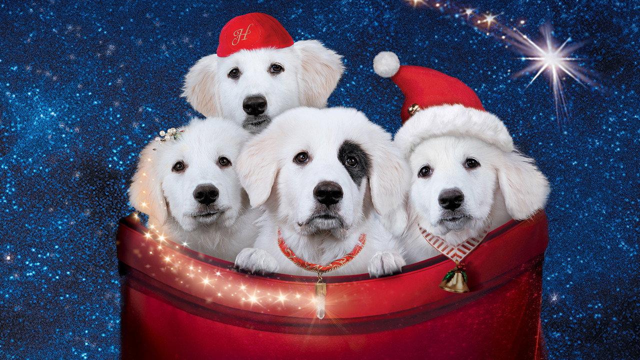 Santa Paws 2: The Santa Pups backdrop