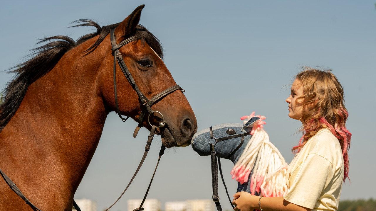 Horse on a Stick backdrop