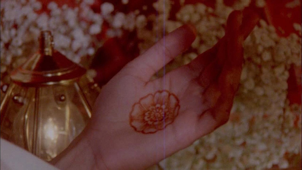 what does it feel like to live inside a pomegranate? backdrop