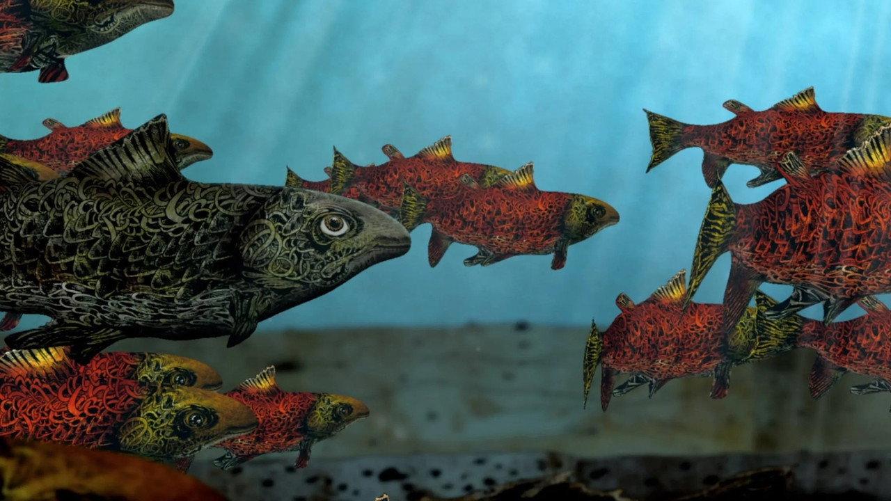 Salmon backdrop