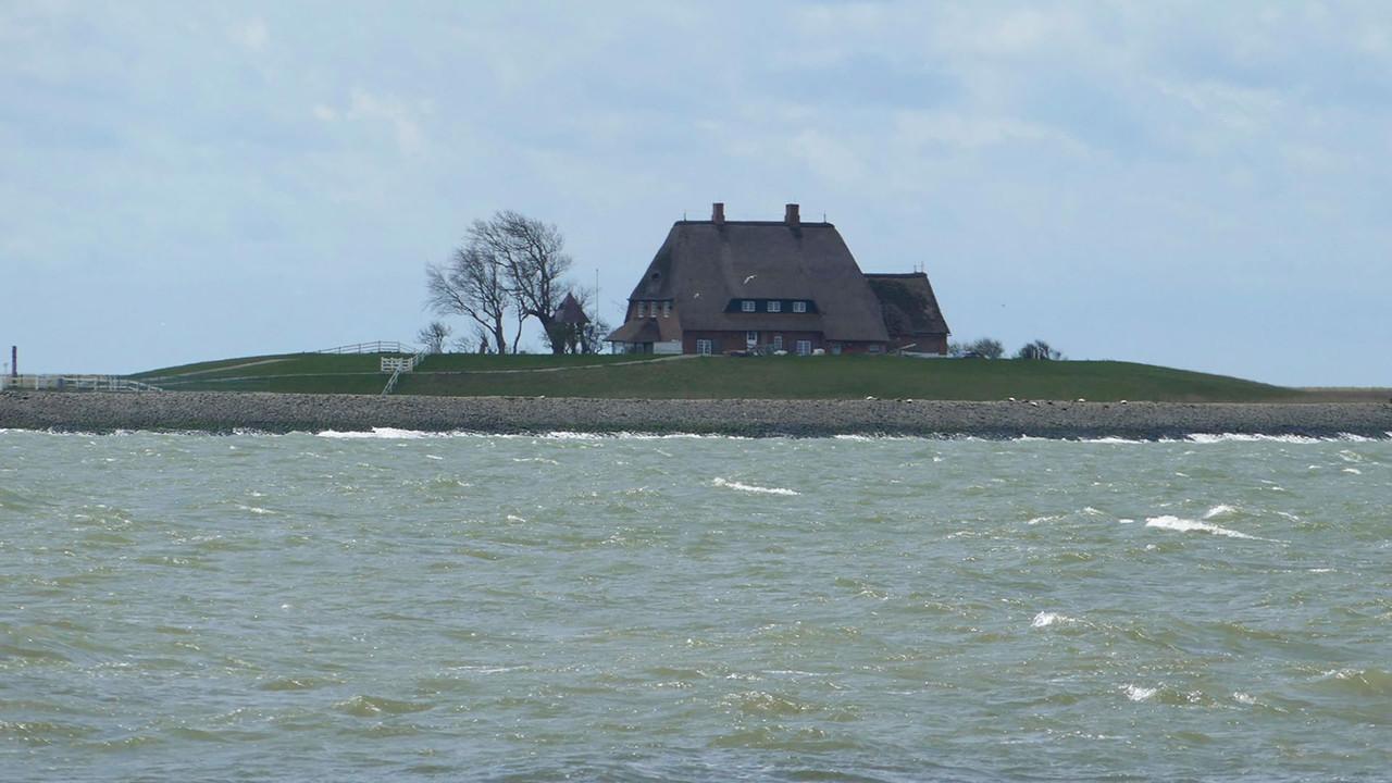 Die Halligen im Wattenmeer backdrop