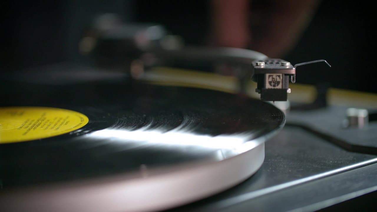 Vinyl backdrop
