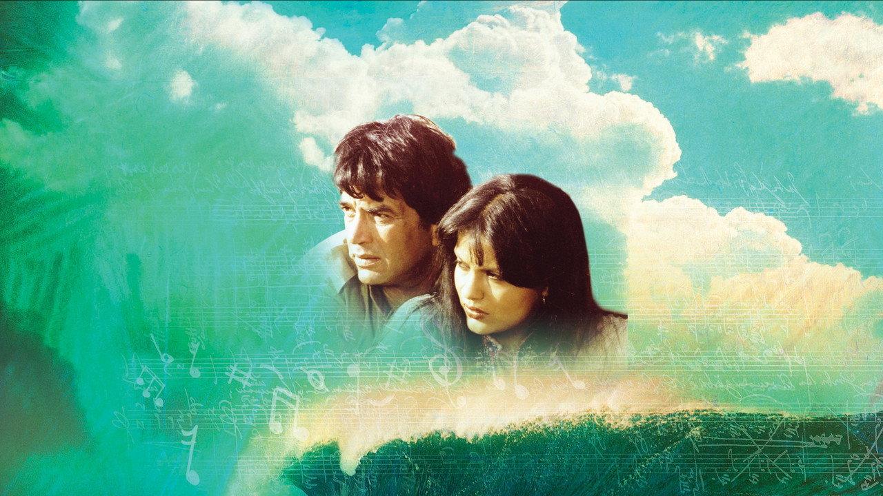 Shalimar backdrop
