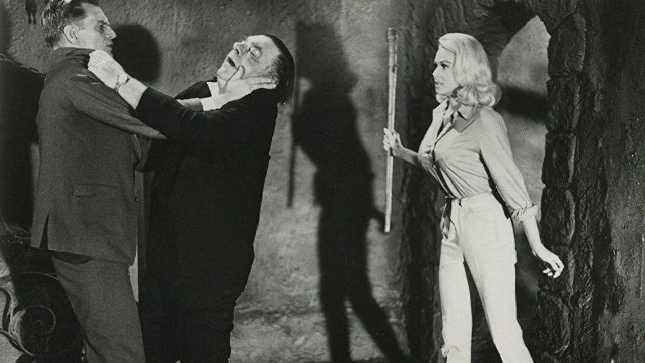 Hillbillys in a Haunted House backdrop
