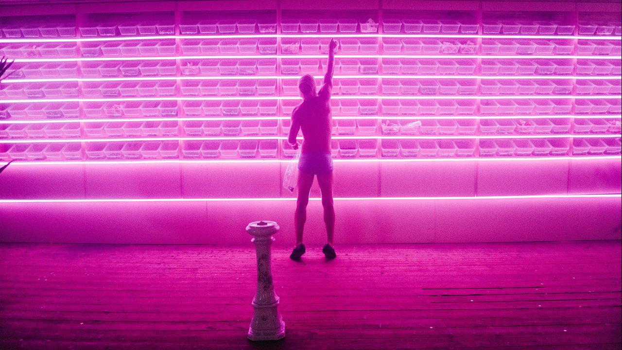 The Monkey and the Mouth backdrop