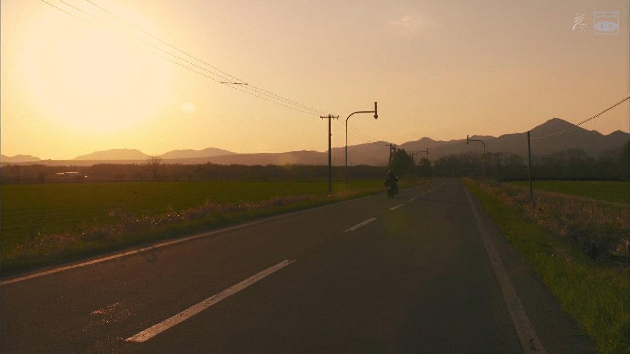 A Distant Cry from Spring backdrop