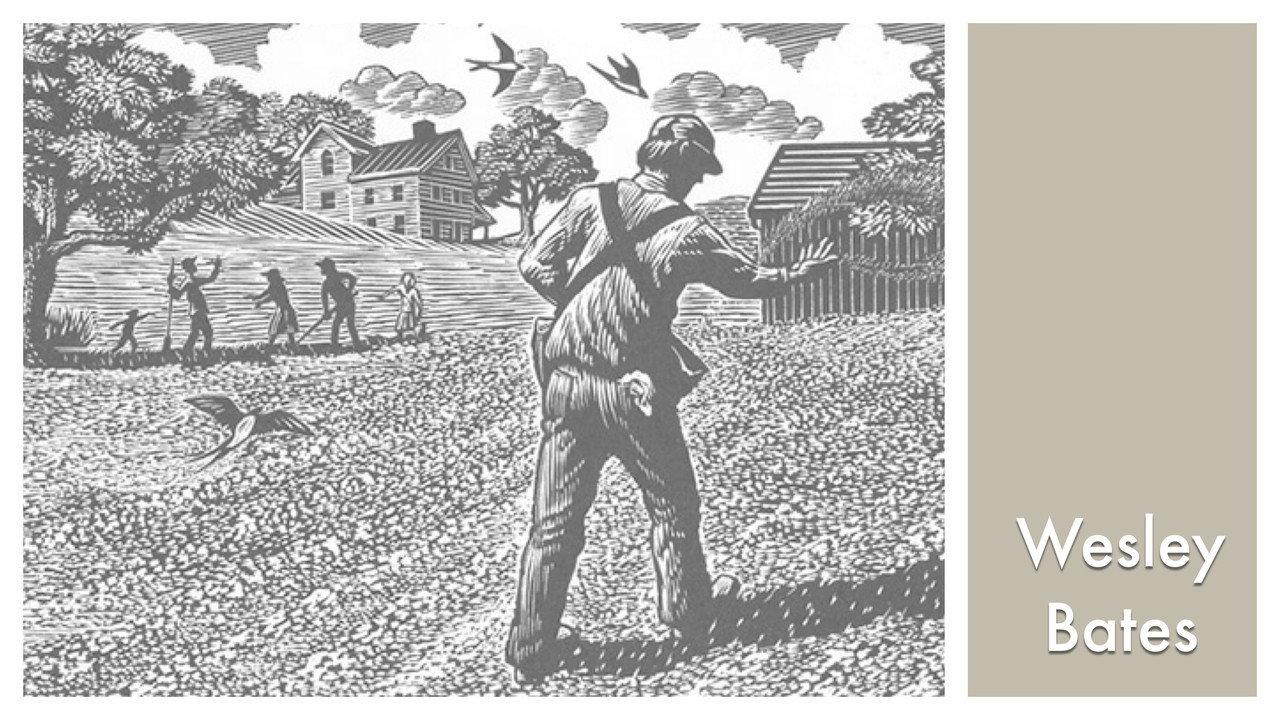 LOOK & SEE: Wesley W. Bates - Wood Engraver backdrop
