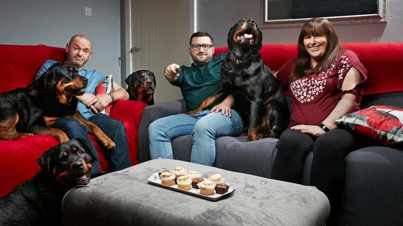 Gogglebox backdrop