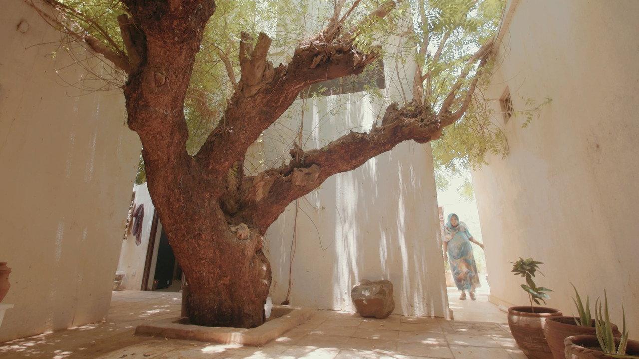 Kamala Ibrahim Ishag: States of Oneness backdrop