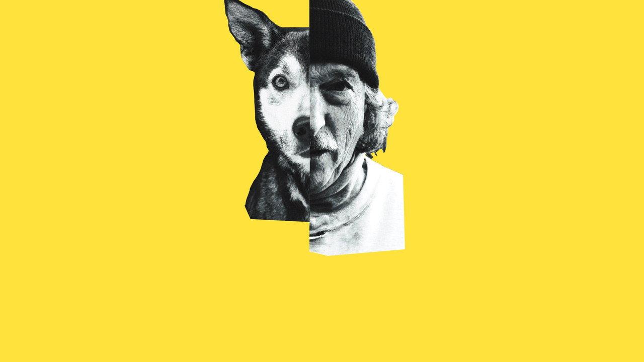 Underdog backdrop