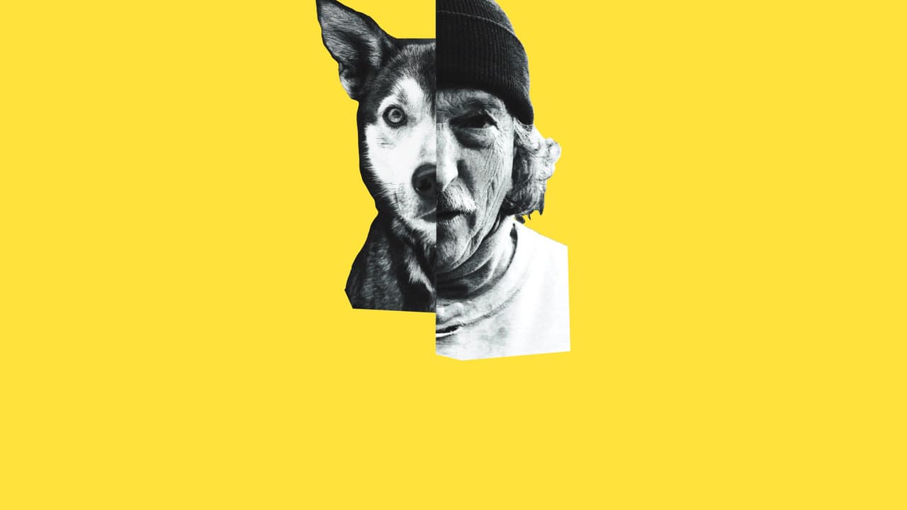 Underdog backdrop