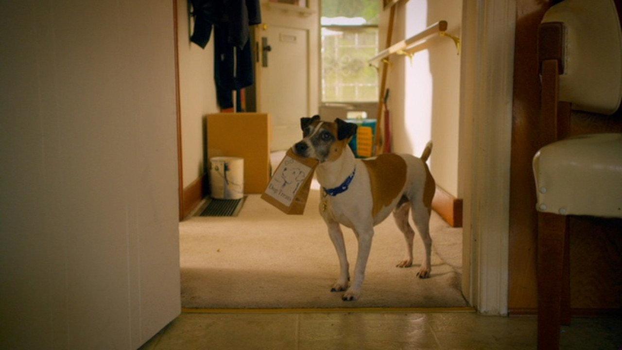 Treasure Hounds backdrop