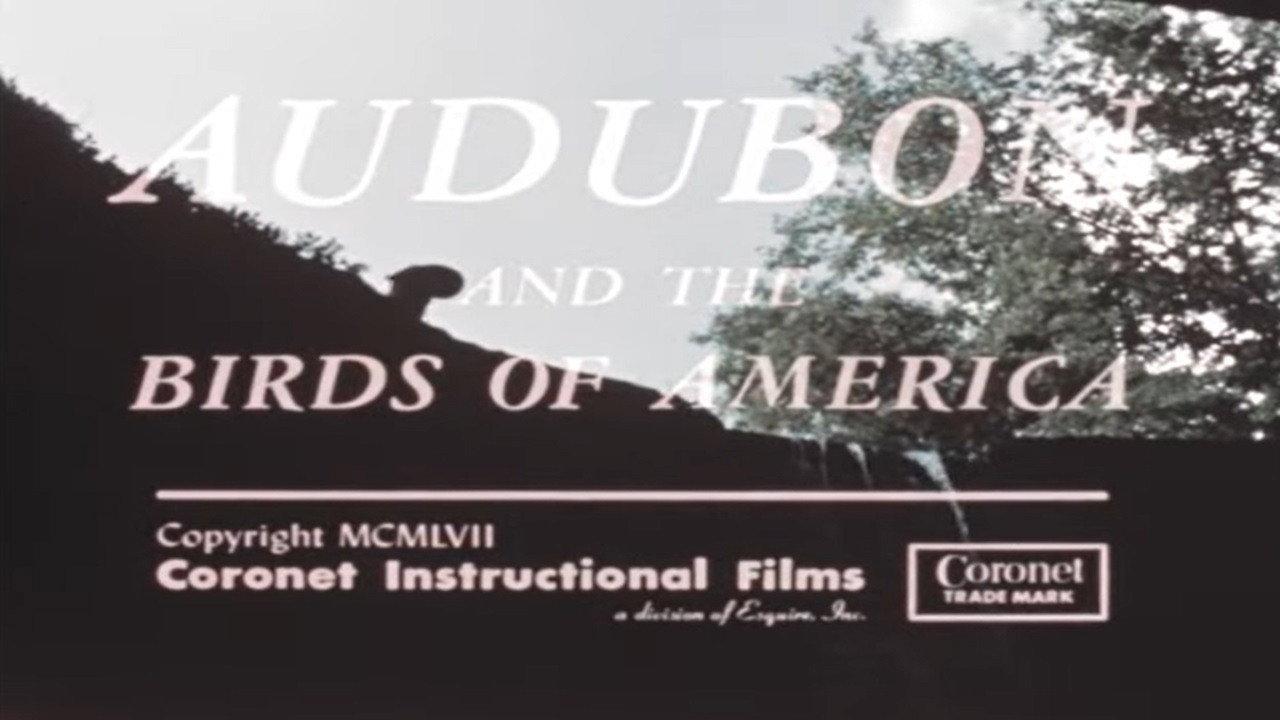 Audubon and the Birds of America backdrop