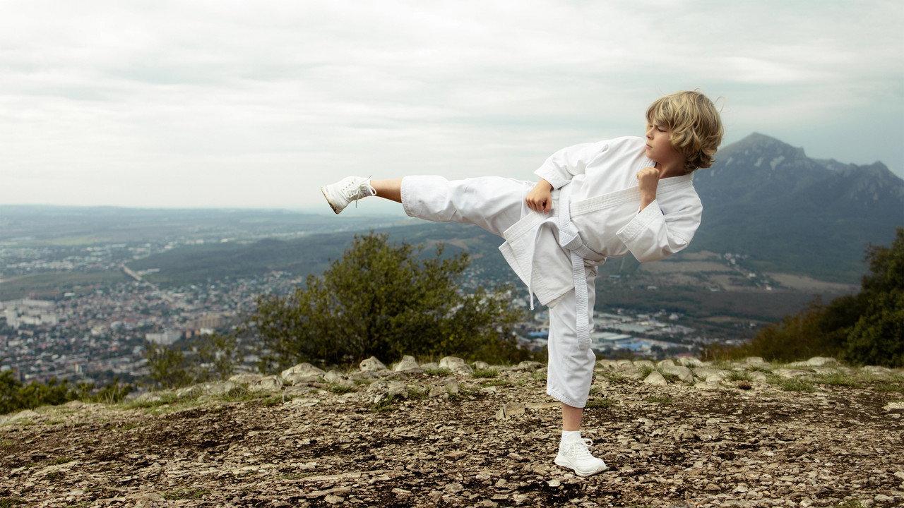 The Next Karate Kid backdrop