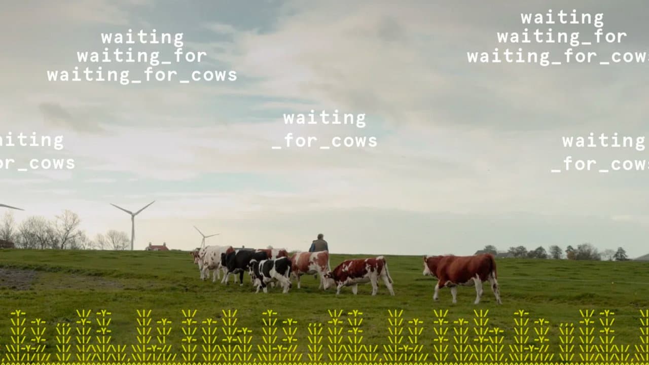 waiting_for_cows backdrop
