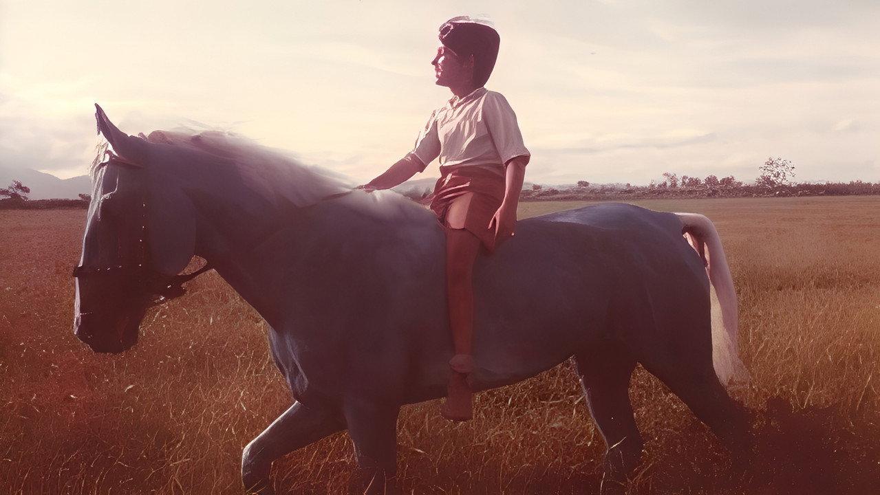 The Blue Horse backdrop