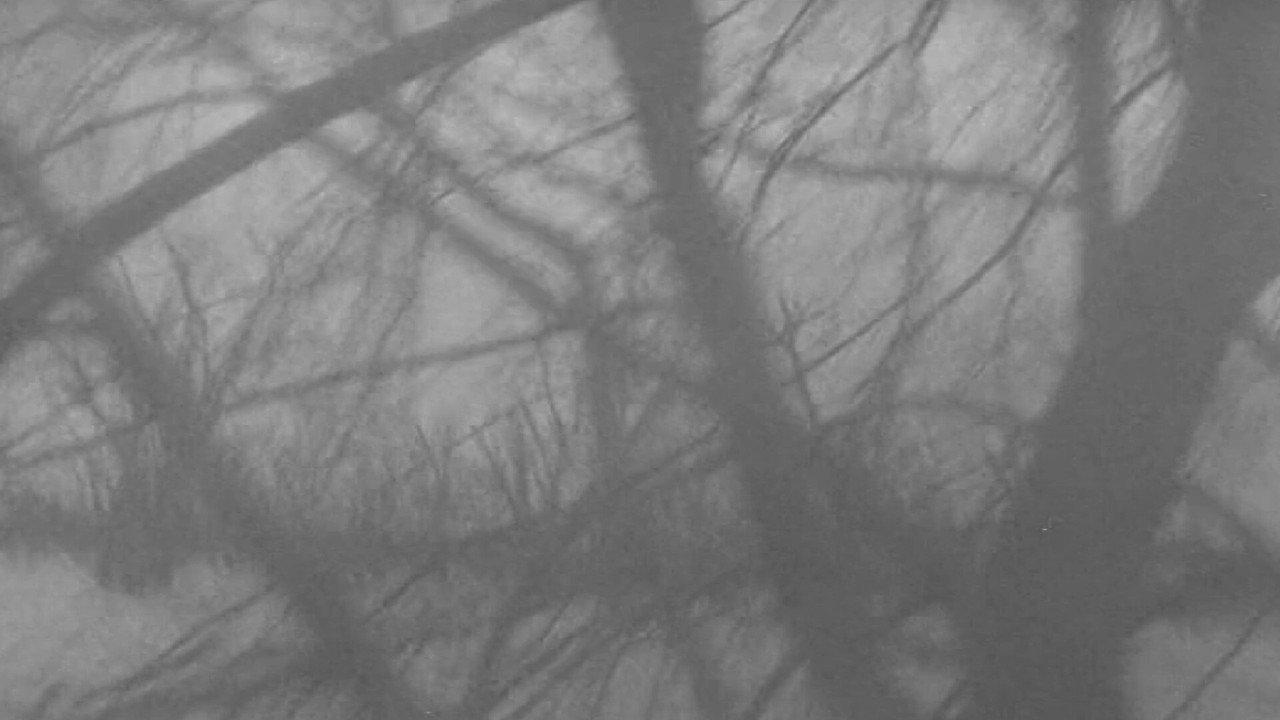 Clay backdrop