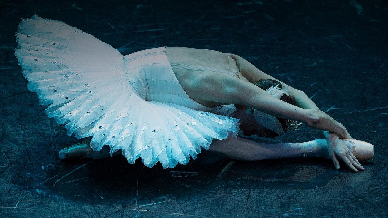 Swan Lake Filmed for IMAX backdrop