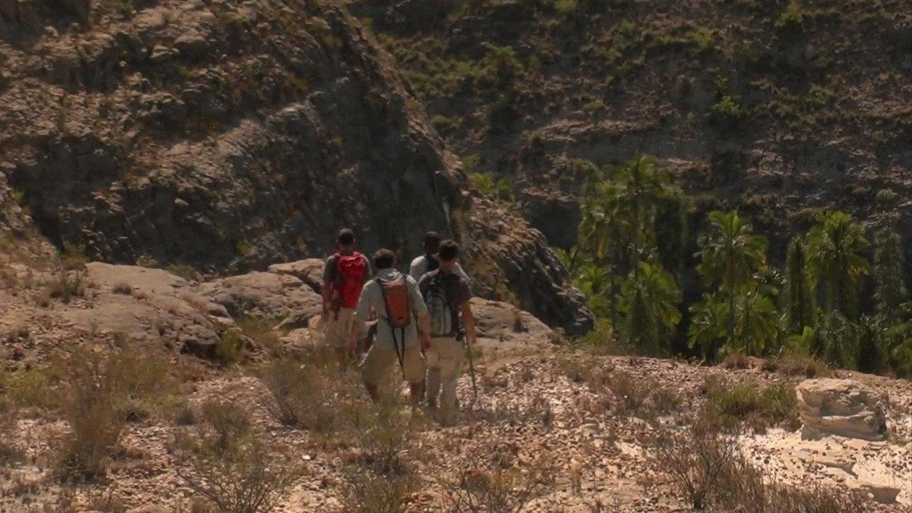 Madagascar: The Lost Makay backdrop