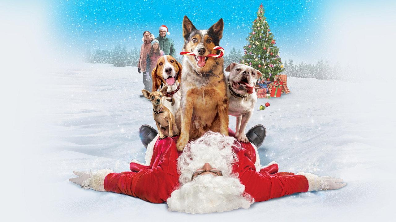 Pups Alone backdrop