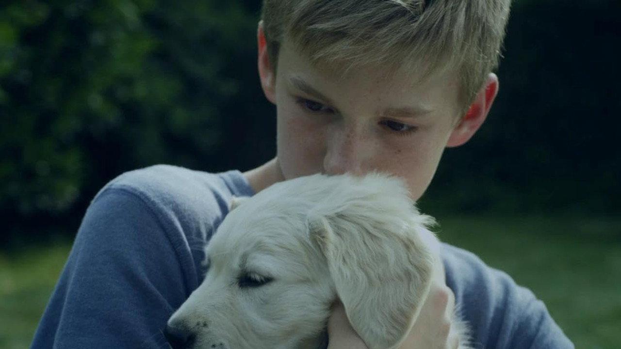 Son backdrop