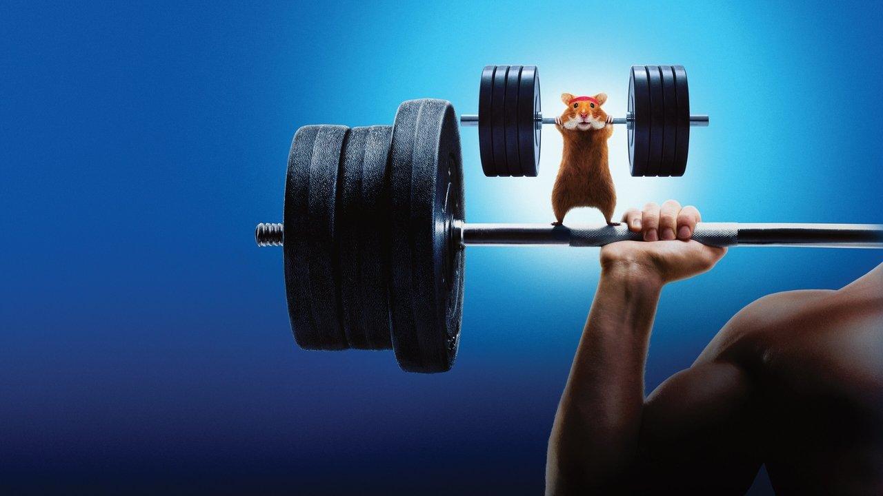 Human vs Hamster backdrop