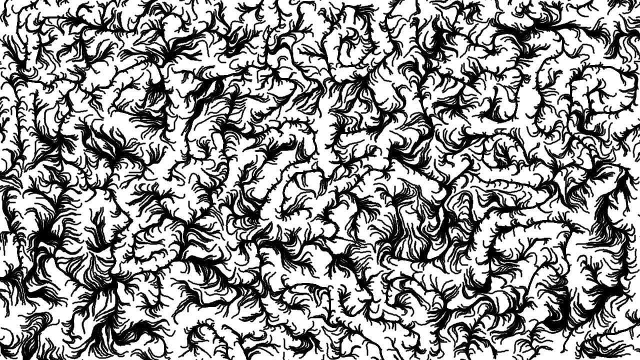 Verrückt backdrop