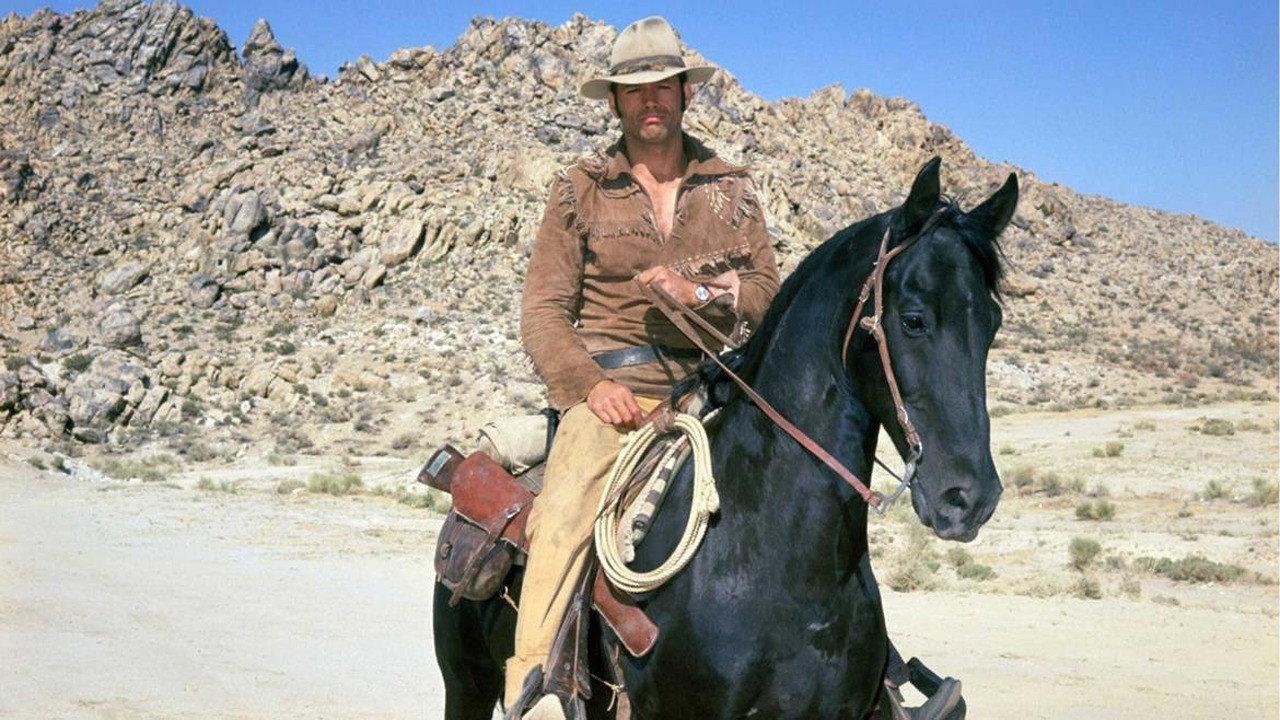 Hondo backdrop