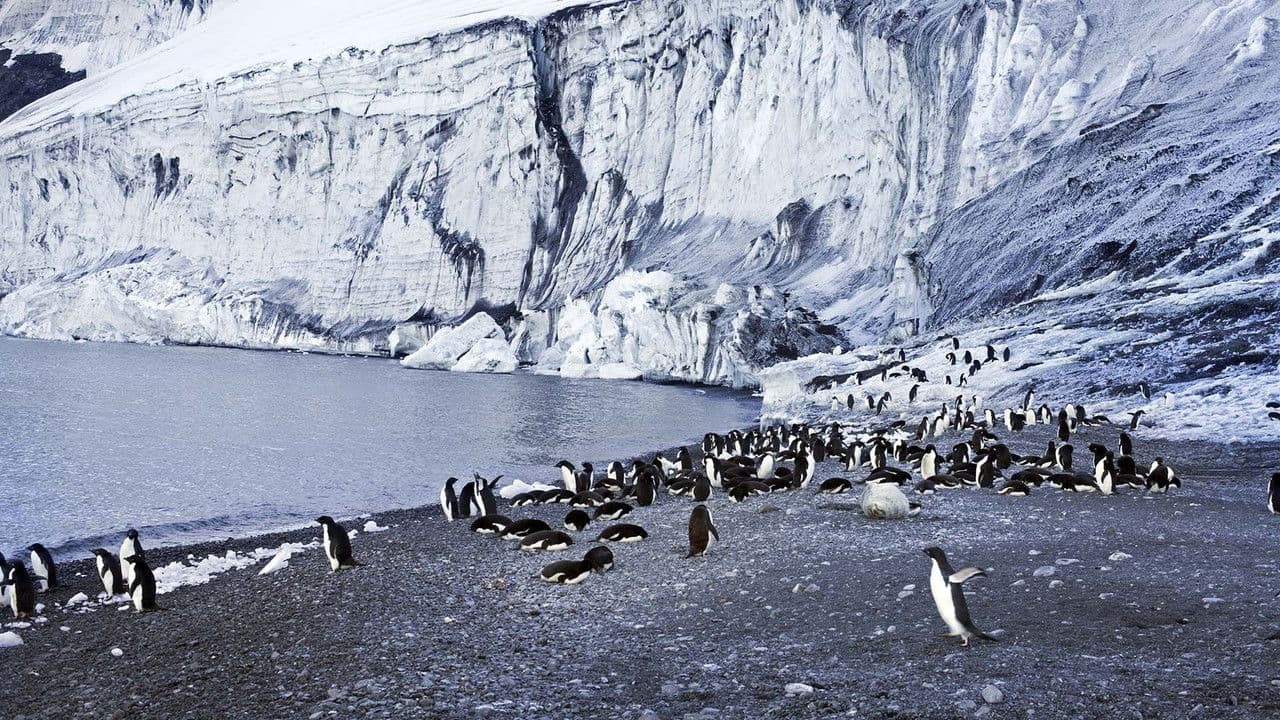 Antarctica: The Frozen Time backdrop