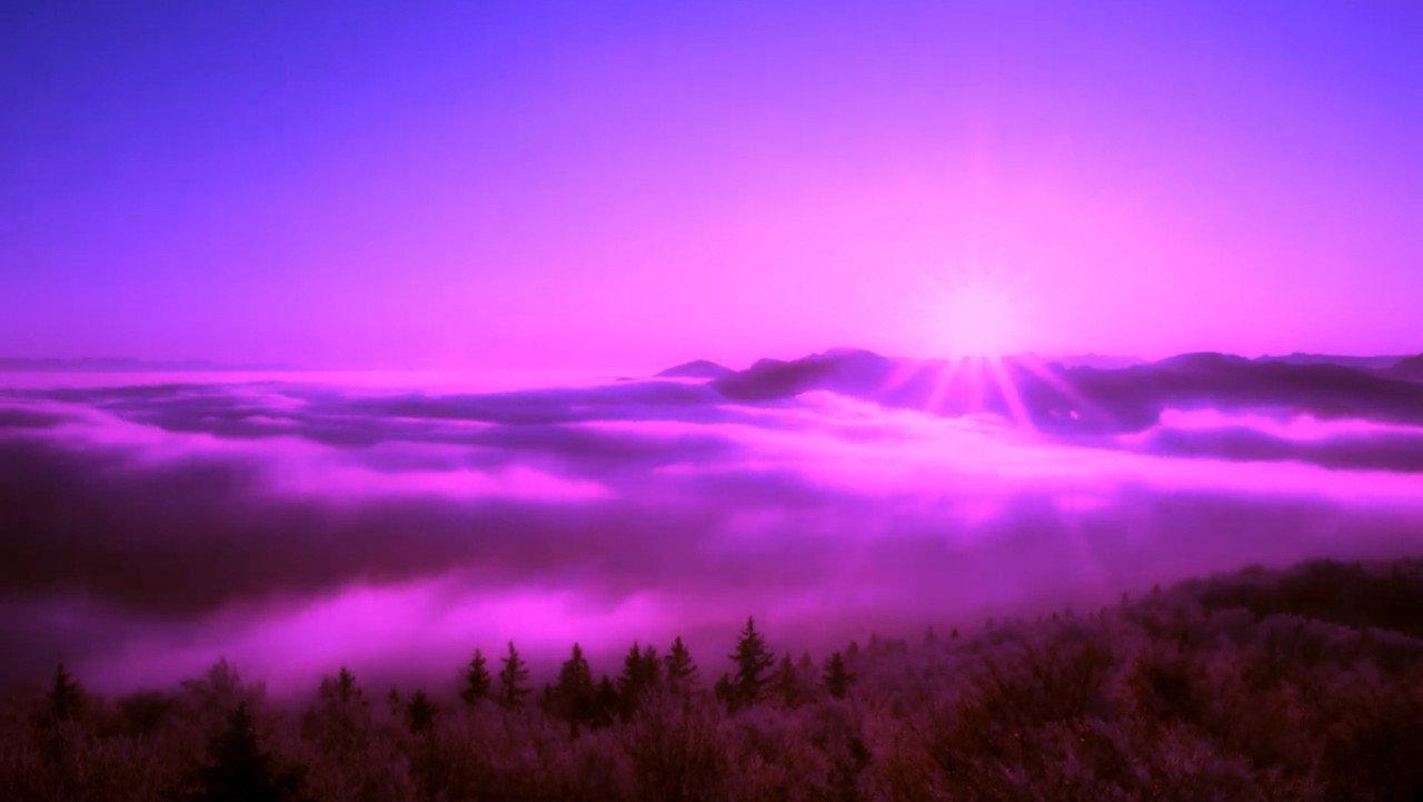 Purple Leone backdrop
