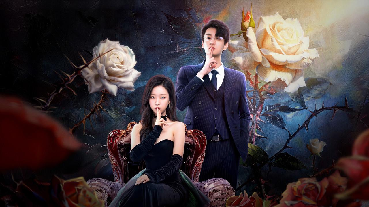 The Silent Wife backdrop