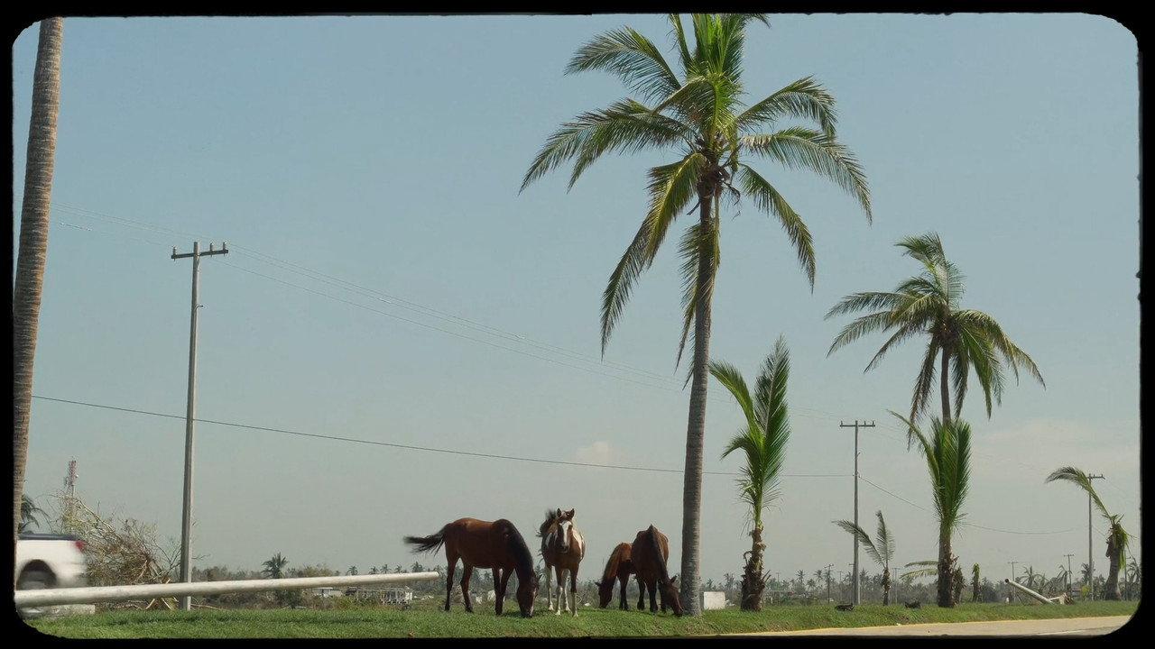 Carrizos backdrop