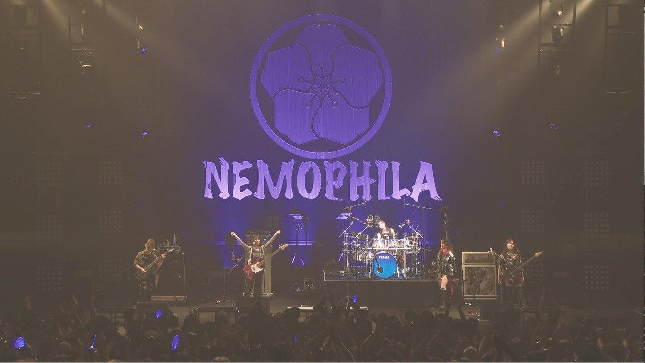 NEMOPHILA LIVE 2022 -REVIVE ~It’s sooooo nice to finally meet you!!!!!~ backdrop