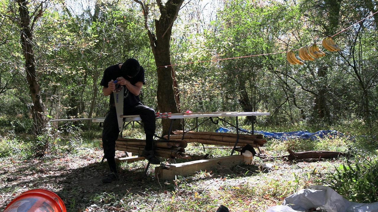 Dwelling: A Measure of Life in the Atlanta Forest backdrop