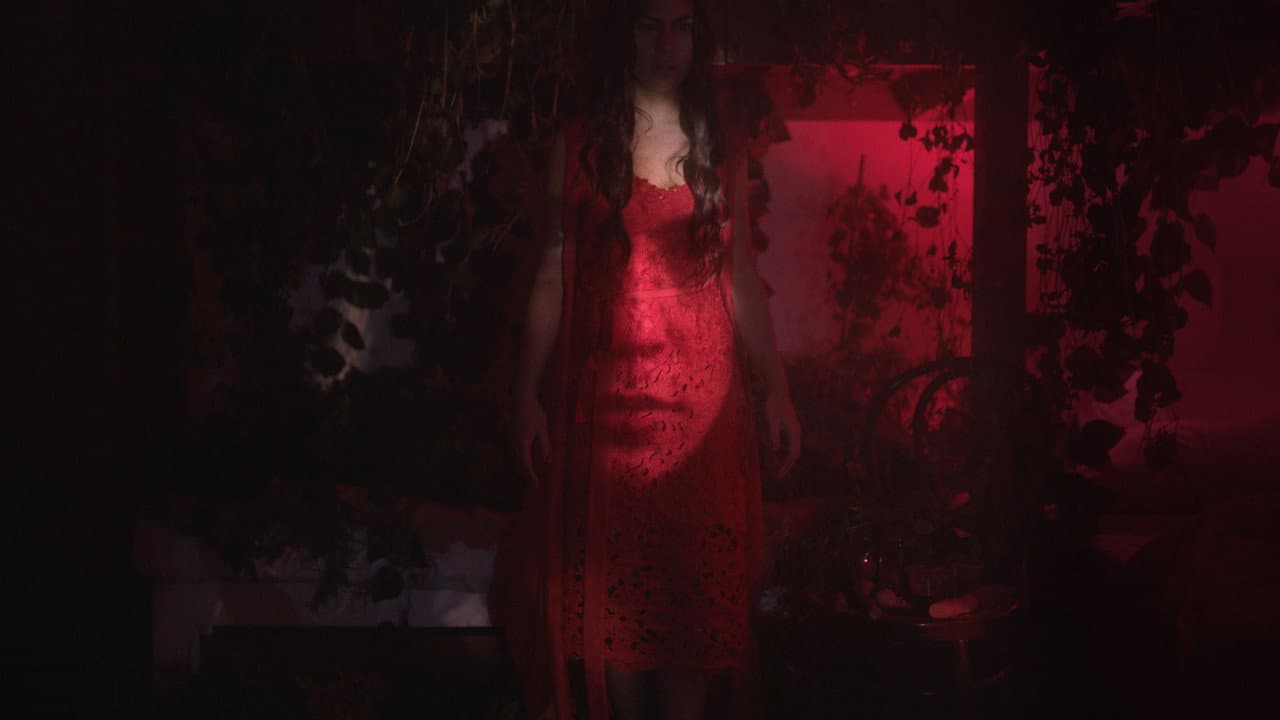 Difference & Repetition, 2020 backdrop