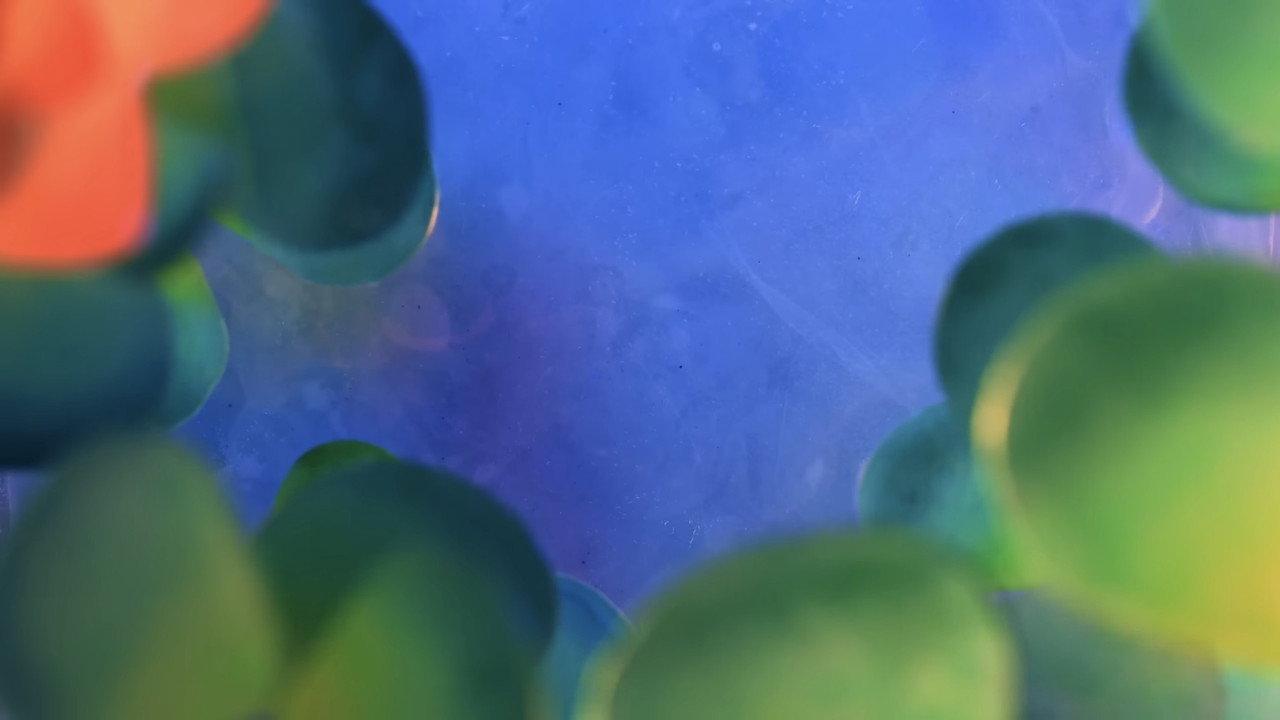 Candy.zip backdrop