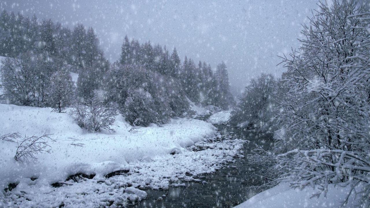 The Search for Snow backdrop