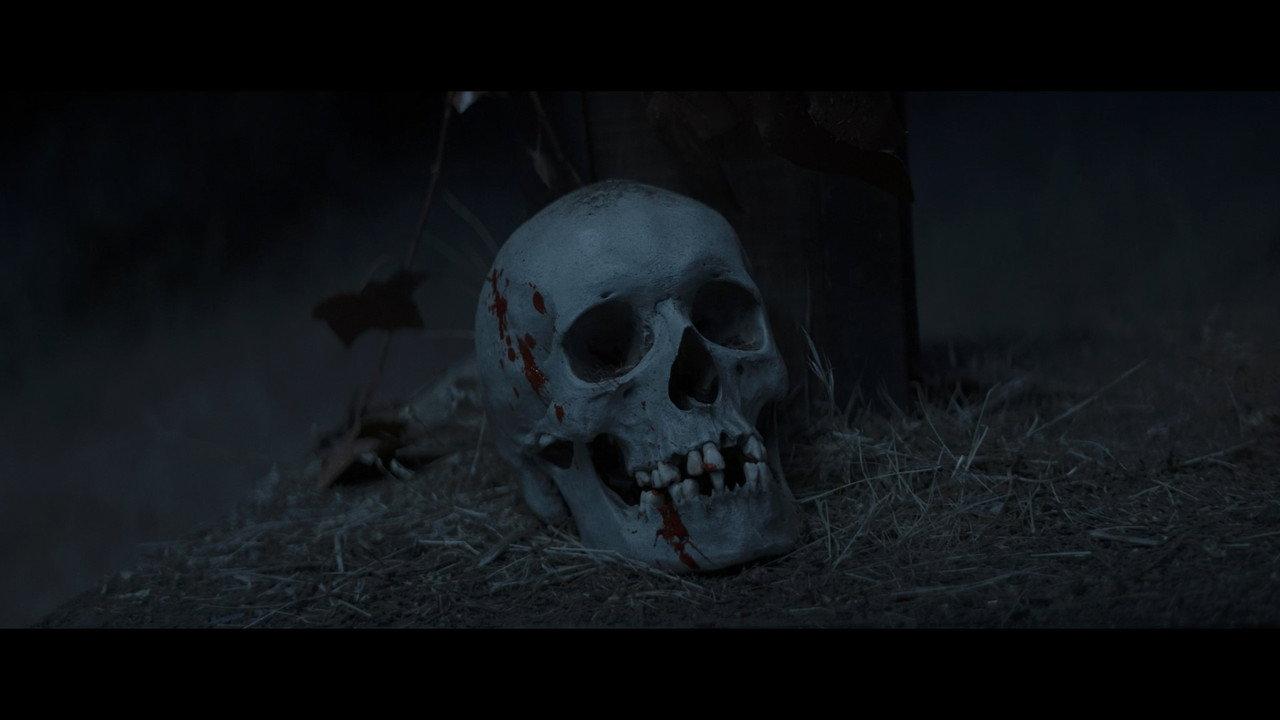 The Christ of the Skull backdrop
