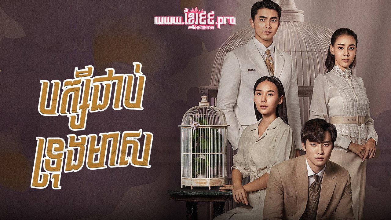 Love in a Cage backdrop