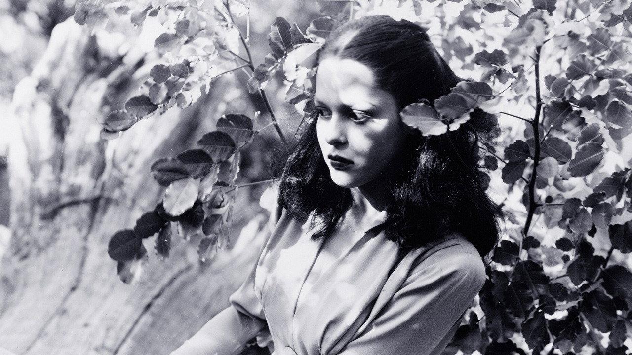 Jungle Woman backdrop