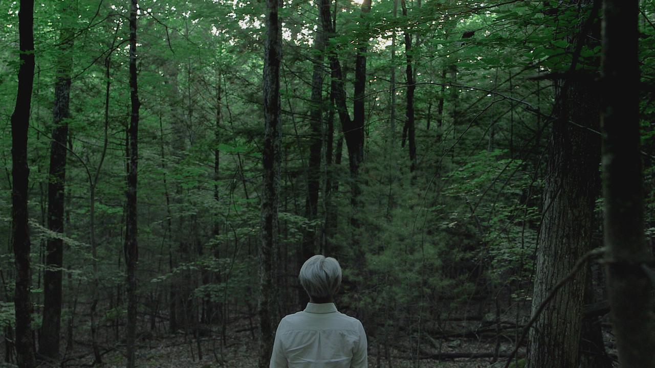 Ryuichi Sakamoto: CODA backdrop