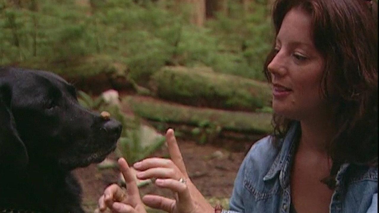 Sarah McLachlan: A Life of Music backdrop